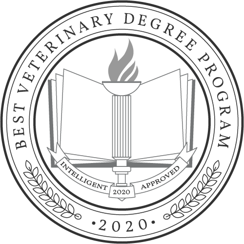 The Best Online Veterinary Degree Programs - Intelligent