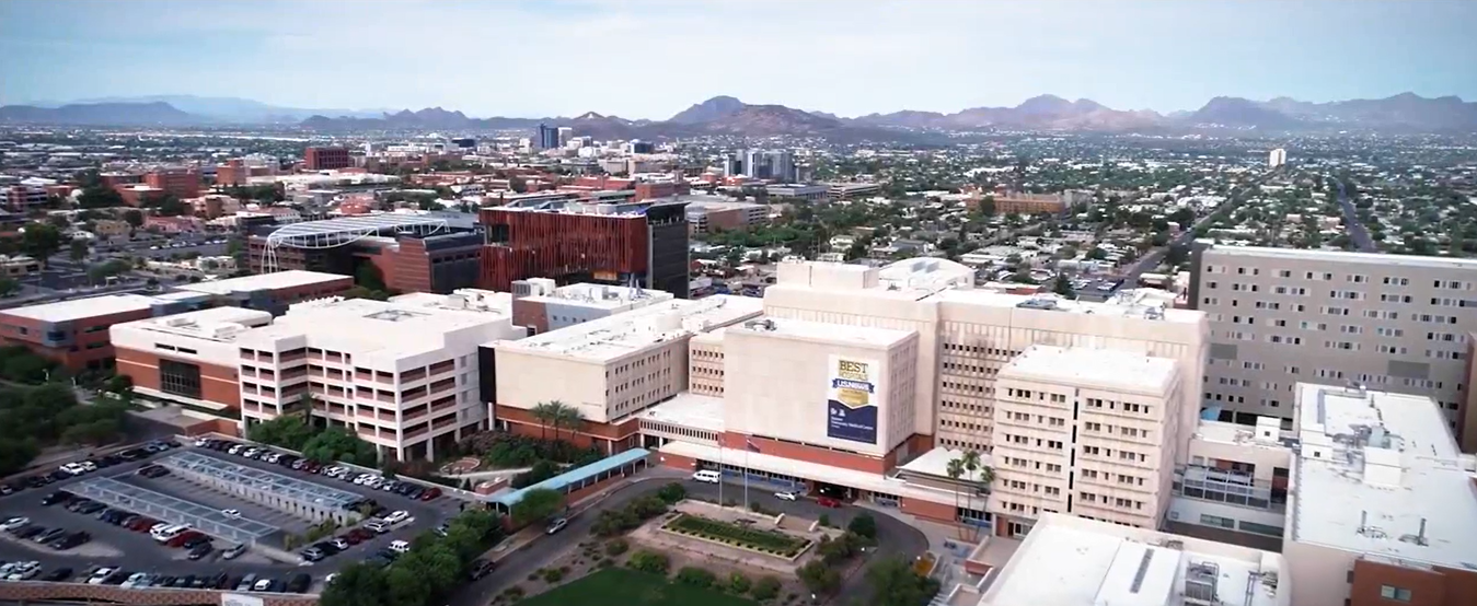 Easiest Medical Schools to Get Into in 2024 Intelligent