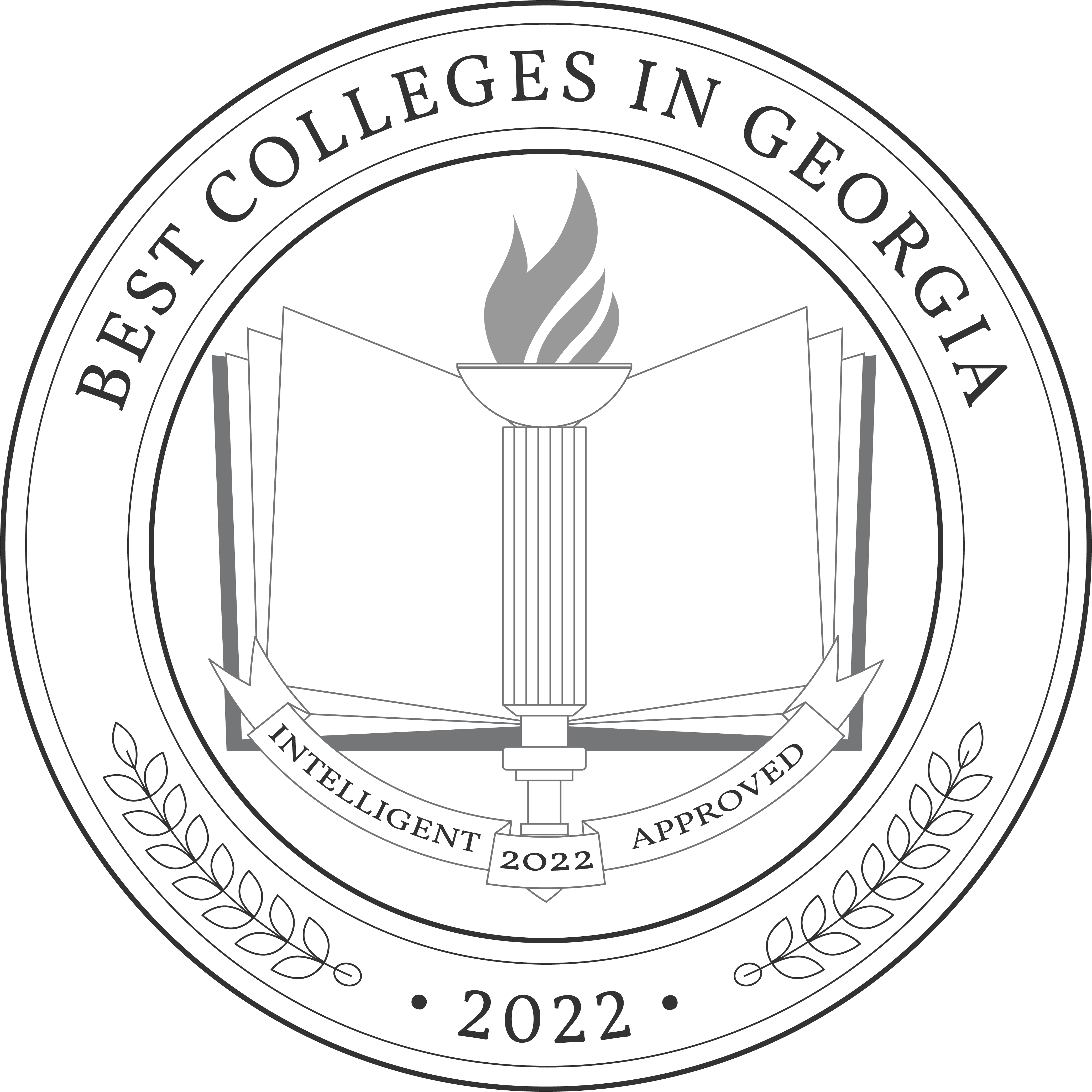 Best Colleges In Georgia