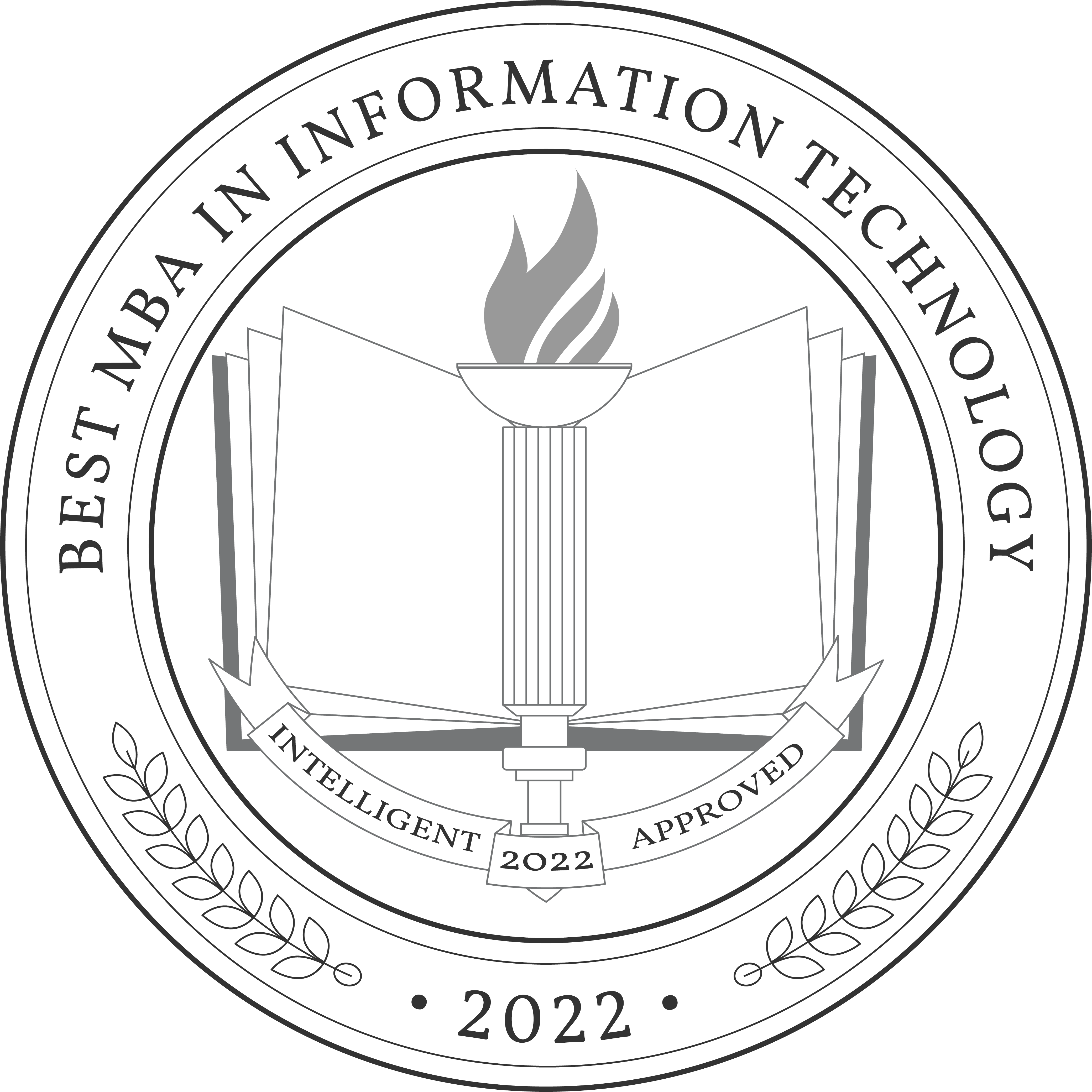 Best MBA in Information Technology Degree Programs