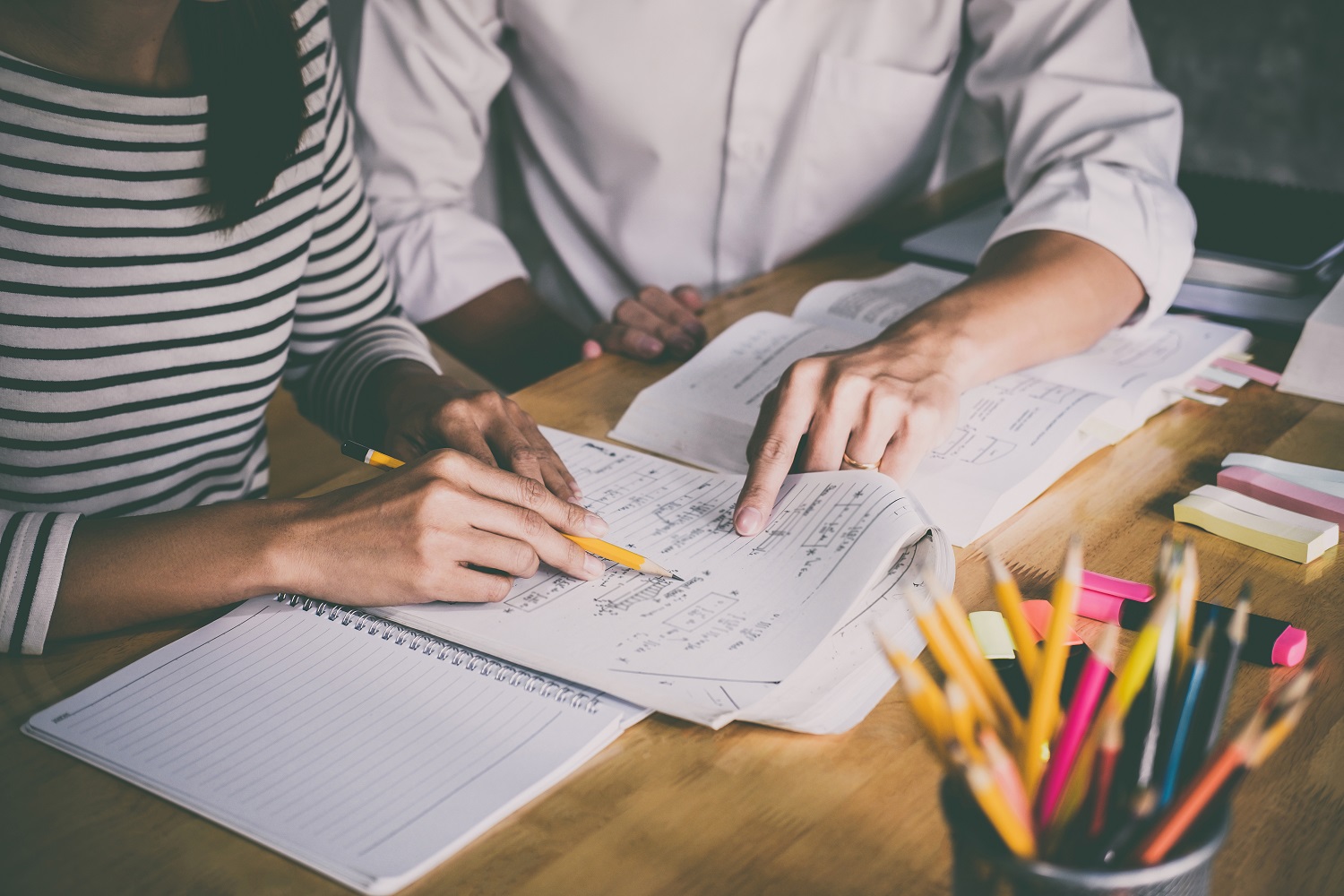 Two people studying